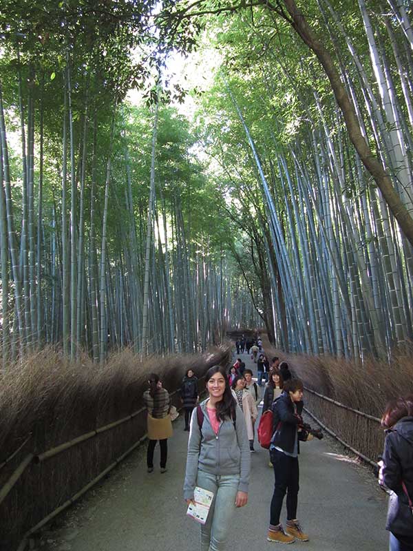 BambooForest1